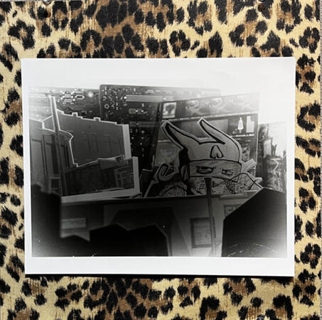 internal armature of idiosyncratic amaturity on film